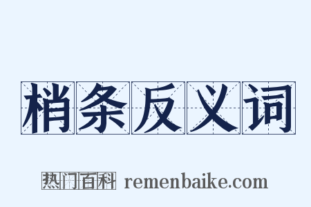 梢条反义词是什么意思的图片